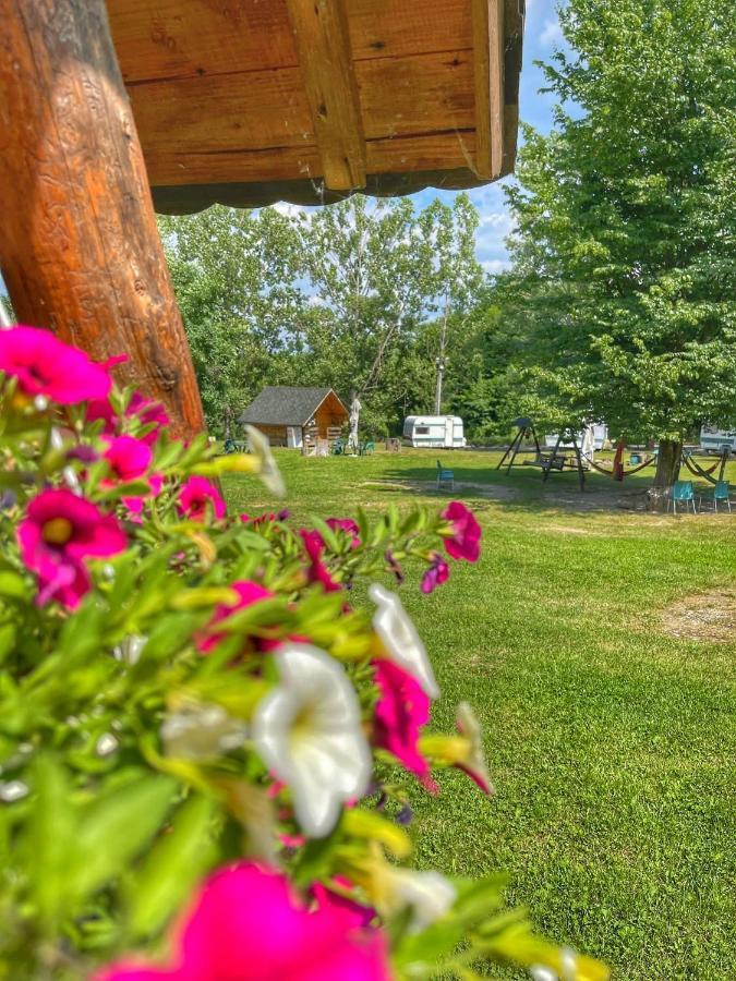 Camping Dragoske Ciofrîngeni Zewnętrze zdjęcie