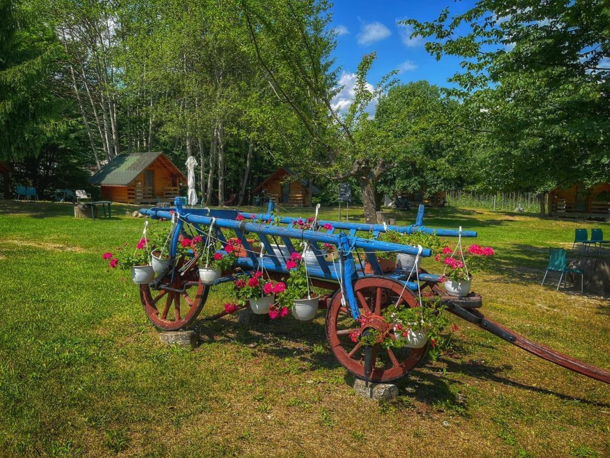 Camping Dragoske Ciofrîngeni Zewnętrze zdjęcie